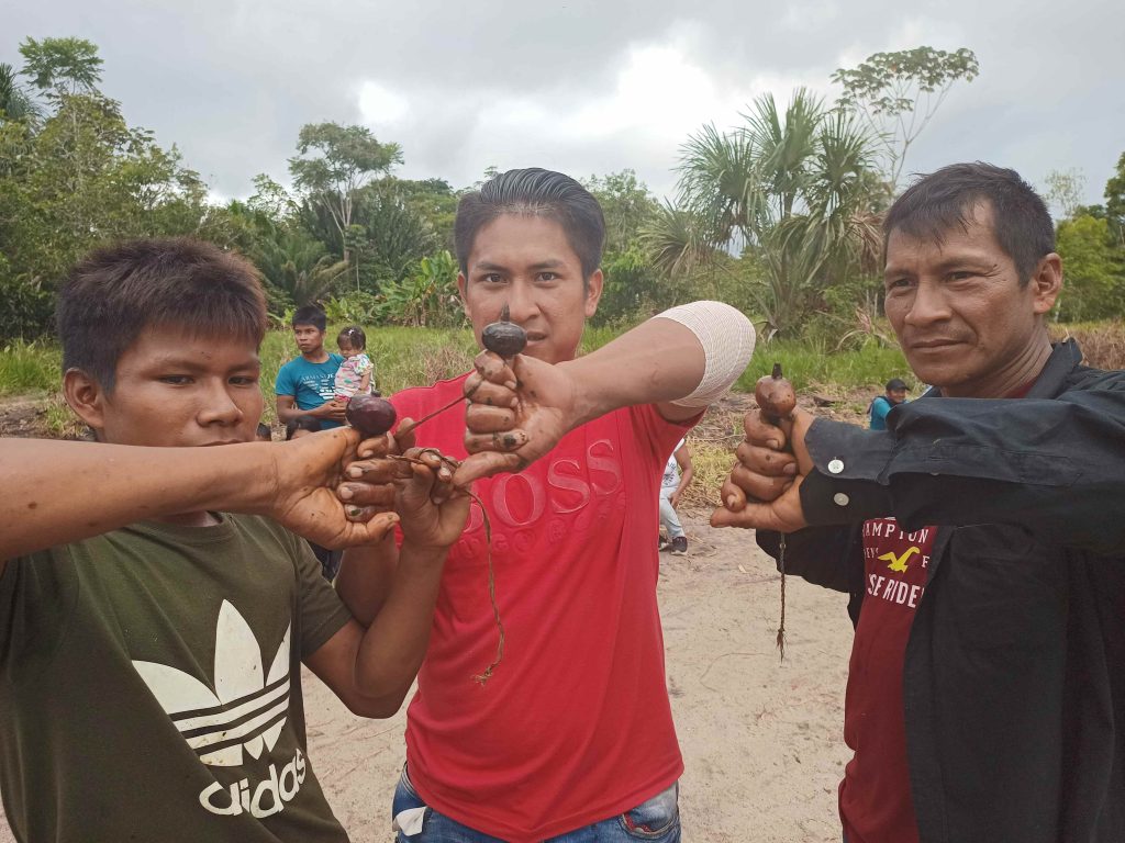 saberes ancestrales gobernanza del pueblo andoke