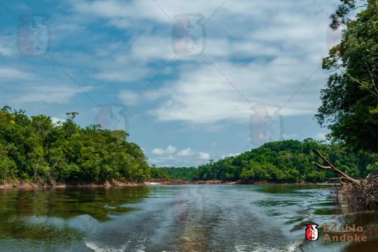 Cultura y Tradiciones del Pueblo Andoke