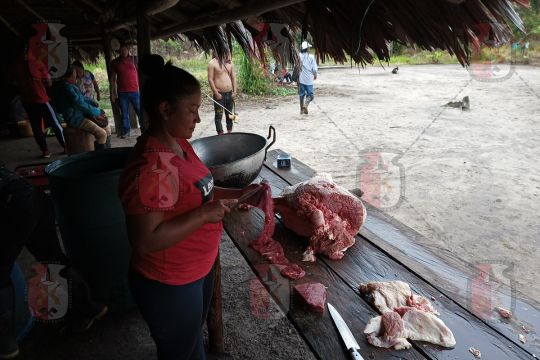 Gastronomía del Pueblo Andoke: Conexión con la Naturaleza